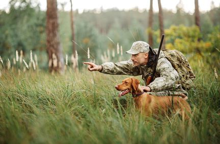 Assurance emprunteur et chasse